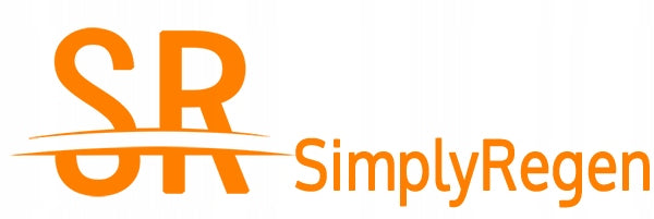 Pompa wspomagania EHPS VW Polo III / Skoda Fabia I (JER171)